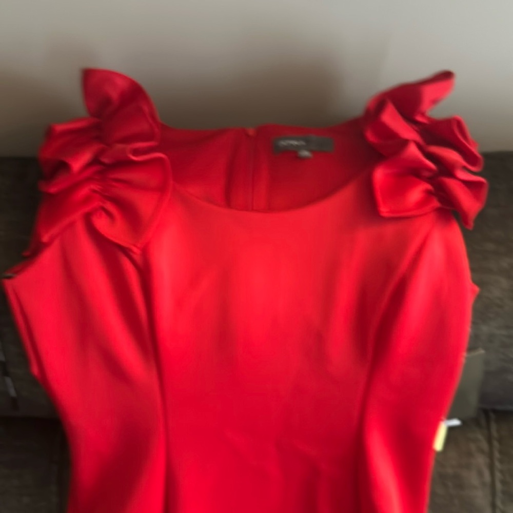 Donna Ricco Dress